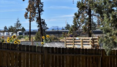 DSC_2837.JPG