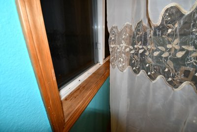 DSC_3347.JPG