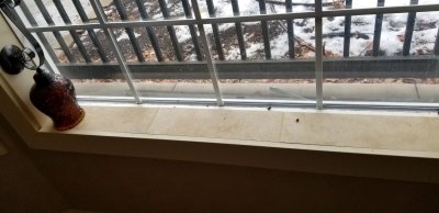 20181211_141452.jpg