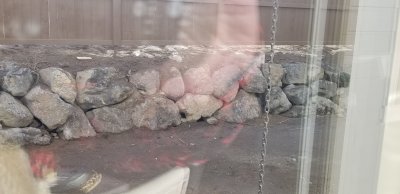 20181214_133505.jpg