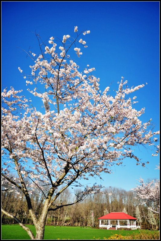 DSC_9609_1.jpg