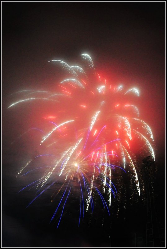 DSC_0895_1.jpg
