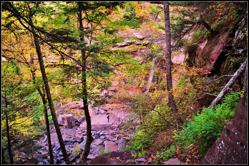 DSC_4562_1.jpg