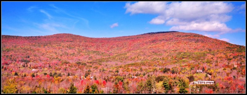 DSC_4815_1.jpg