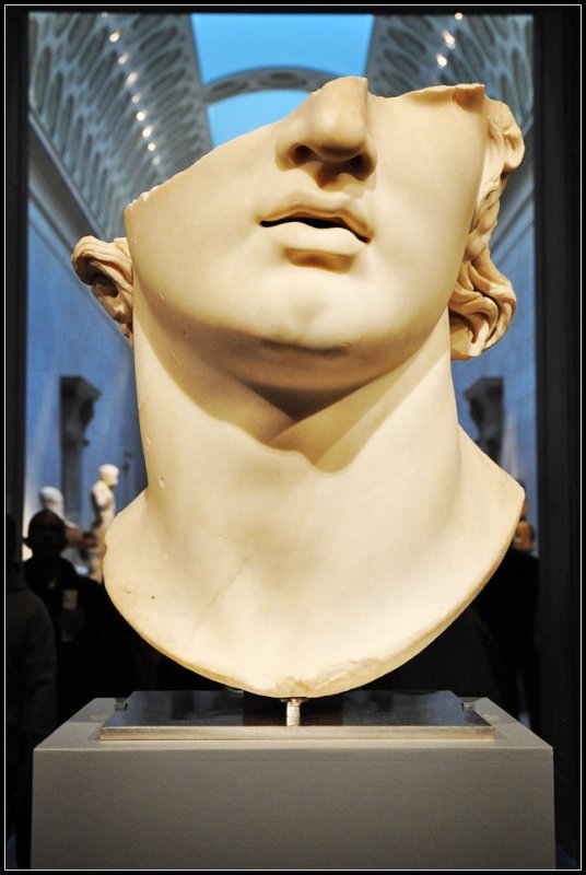 DSC_5708_1.jpg