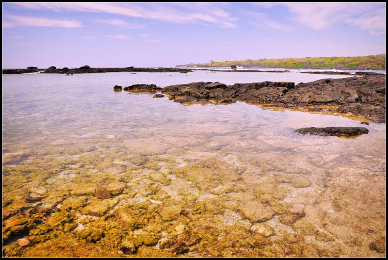 DSC_6143_1.jpg