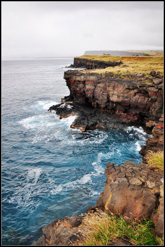 DSC_6318_1.jpg
