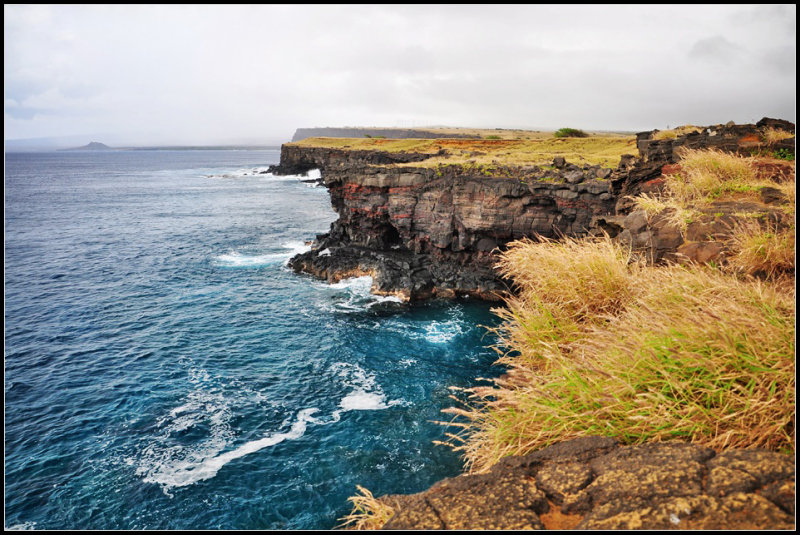 DSC_6332_1.jpg