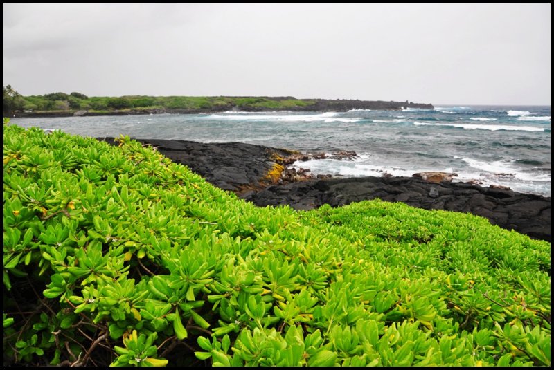DSC_6418_1.jpg