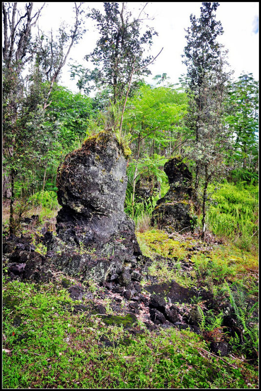 DSC_6923_1.jpg