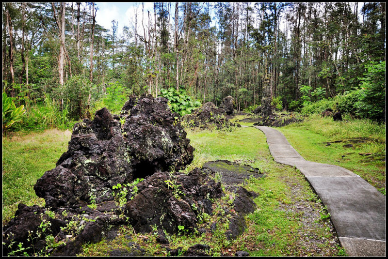 DSC_6945_1.jpg