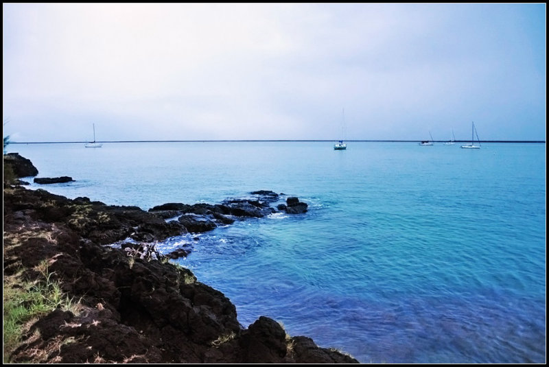 DSC_7476_1.jpg