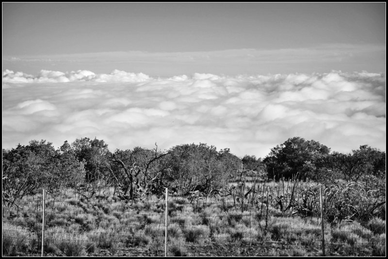 DSC_7149_1.jpg