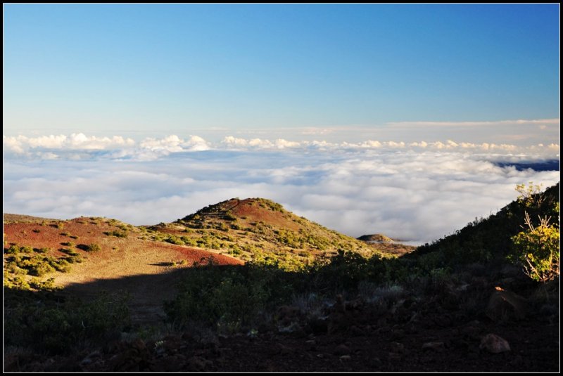 DSC_7179_1.jpg