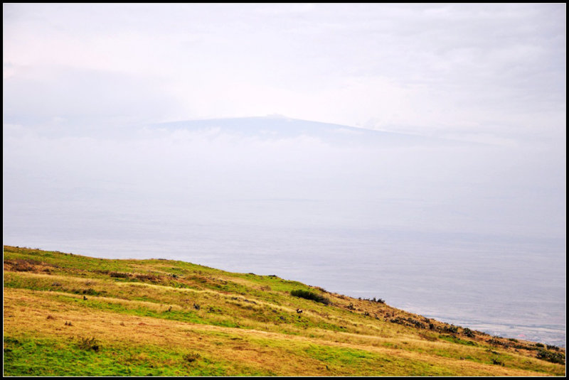 DSC_7902_1.jpg
