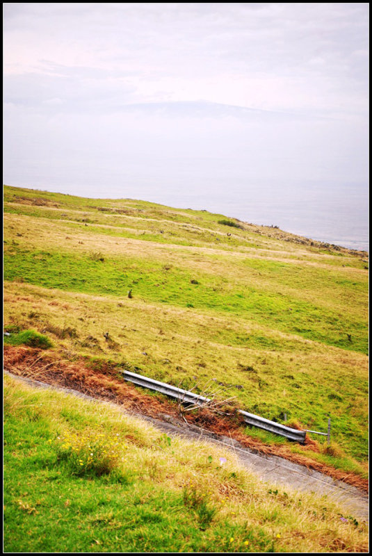 DSC_7909_1.jpg
