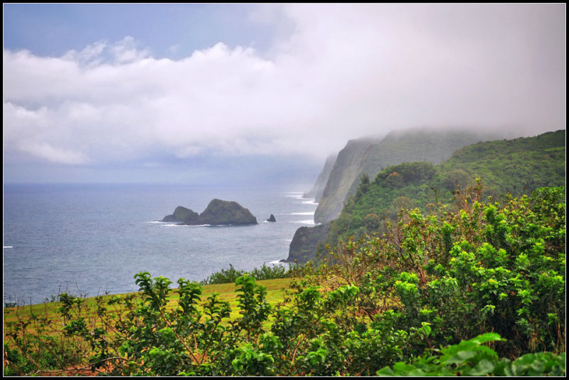 DSC_7946_1.jpg