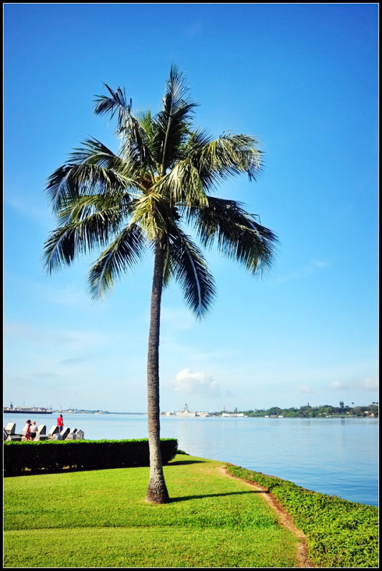 DSC_9057_1.jpg