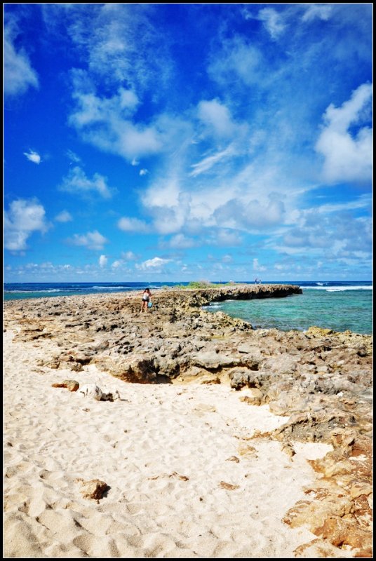 DSC_0065_1.jpg