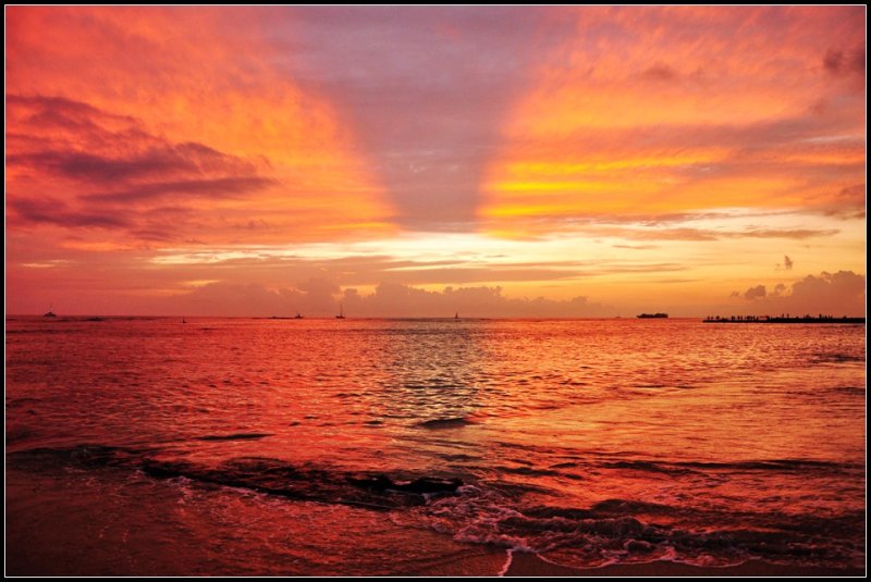DSC_9564_1.jpg