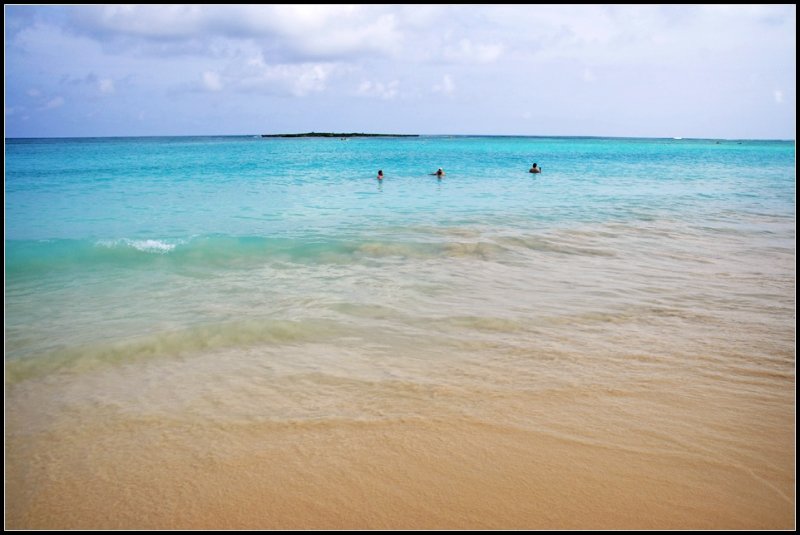 DSC_9176_1.jpg