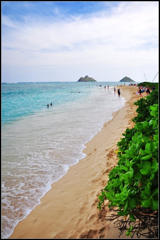 DSC_9254_1.jpg