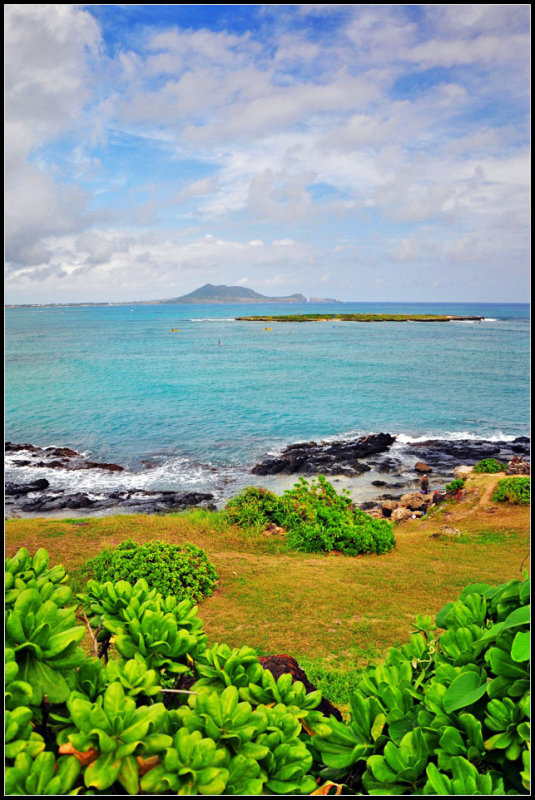 DSC_9307_1.jpg
