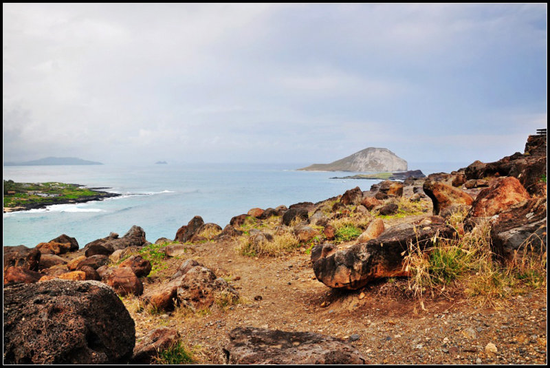 DSC_9372_1.jpg
