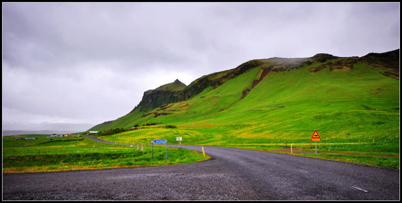 DSC_2206_1.jpg