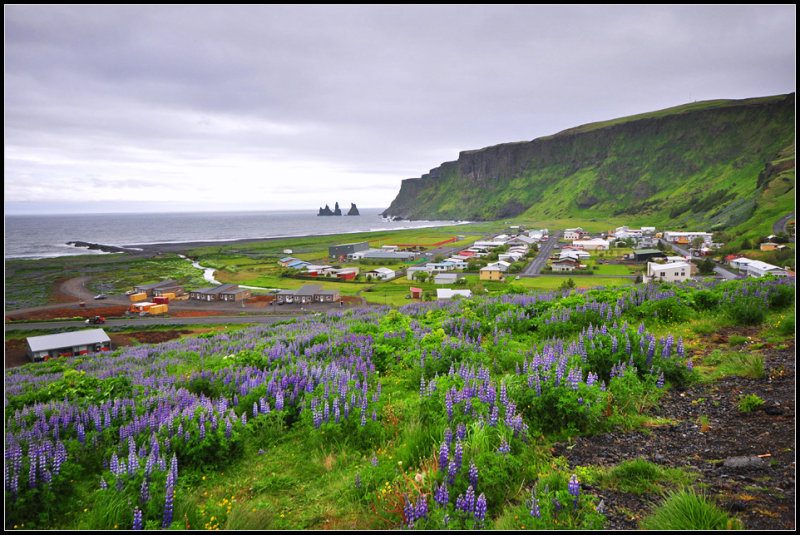 DSC_2295_1.jpg