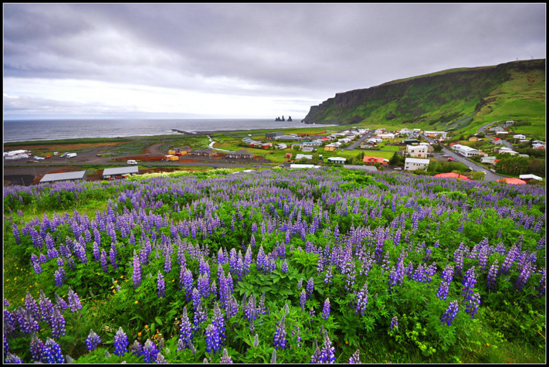 DSC_2317_1.jpg