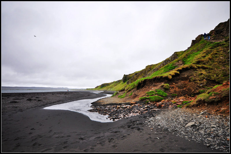 DSC_3467_1.jpg