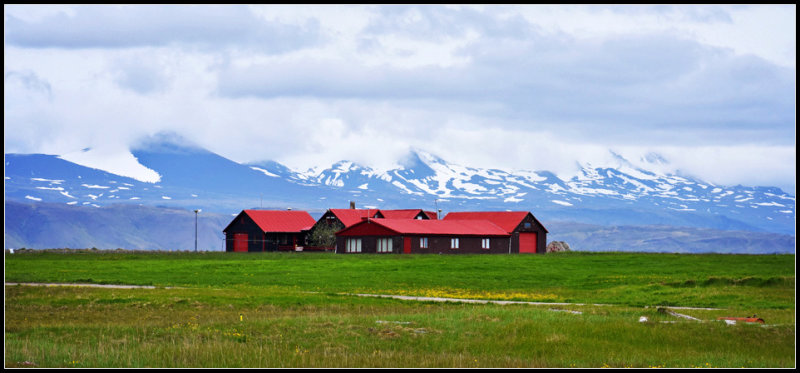 DSC_1131_1.jpg