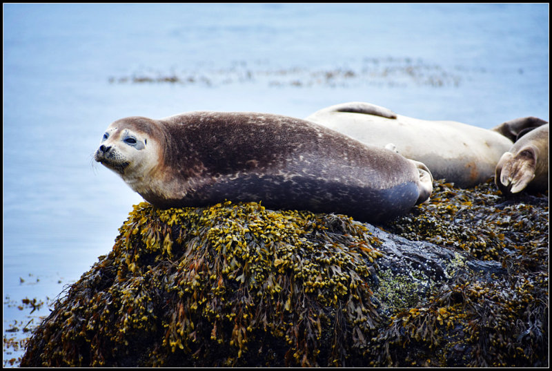 DSC_1145_1.jpg