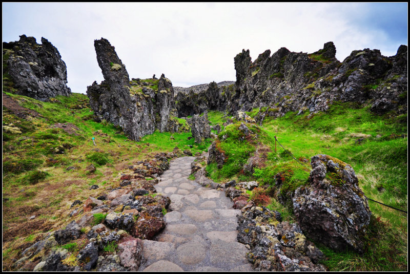DSC_3884_1.jpg