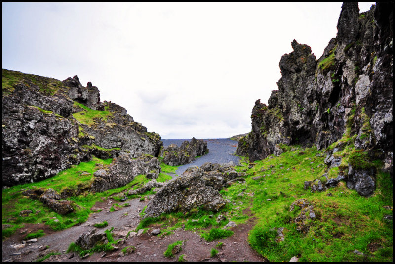 DSC_3903_1.jpg