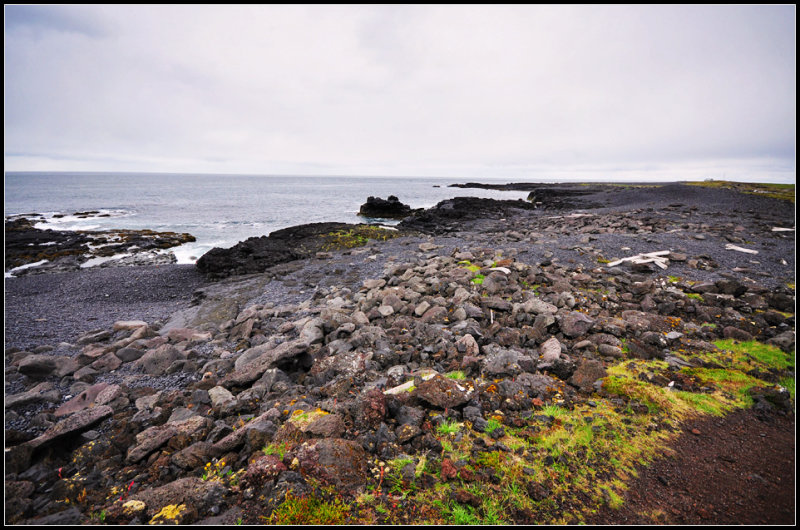 DSC_3933_1.jpg
