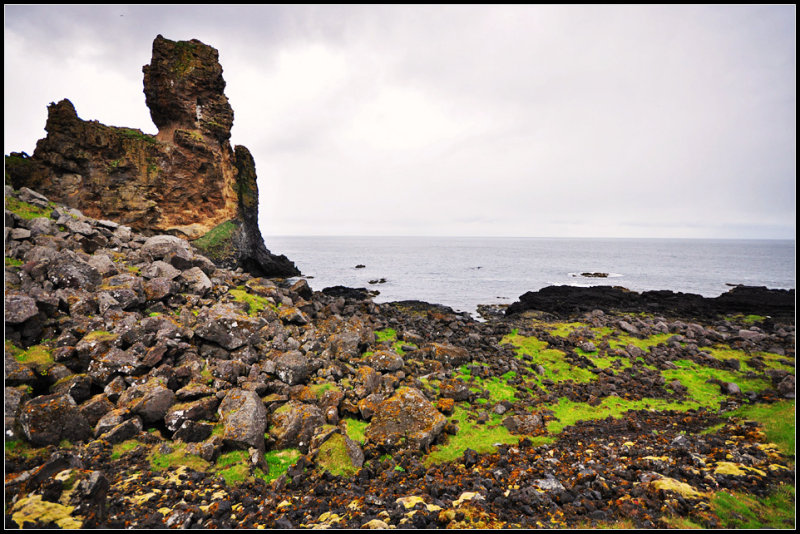 DSC_3957_1.jpg