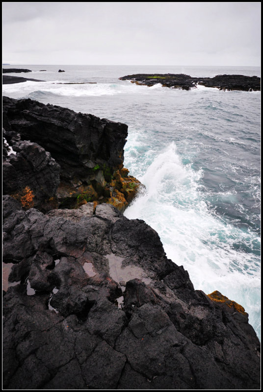 DSC_3999_1.jpg
