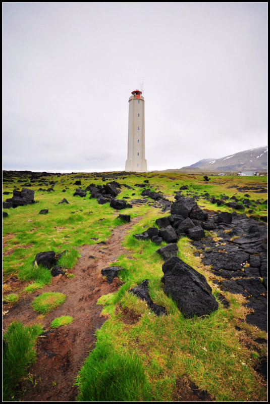 DSC_4010_1.jpg