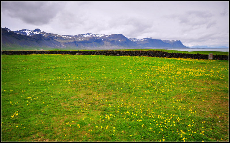 DSC_4148_1.jpg