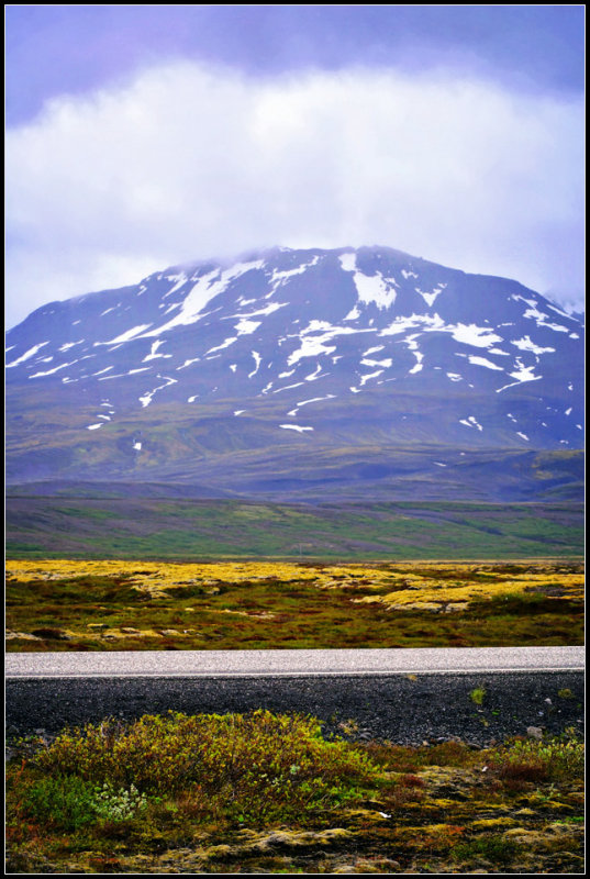 DSC_0017_1.jpg