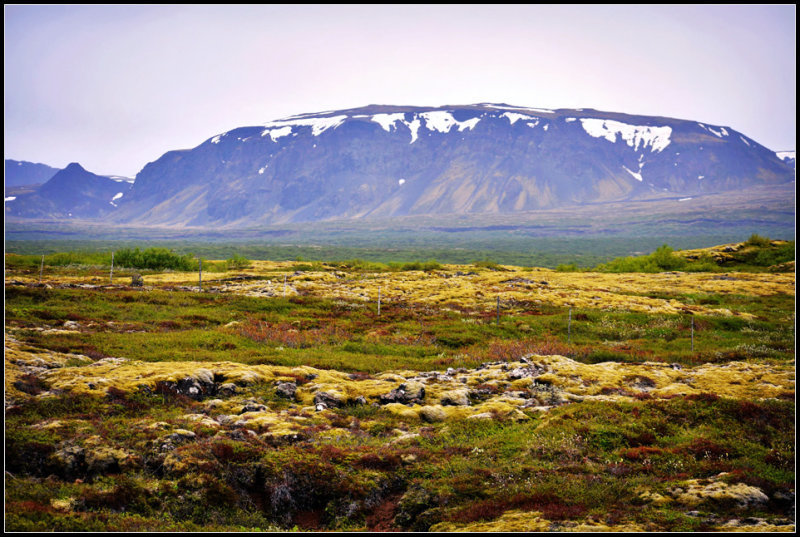 DSC_0020_1.jpg