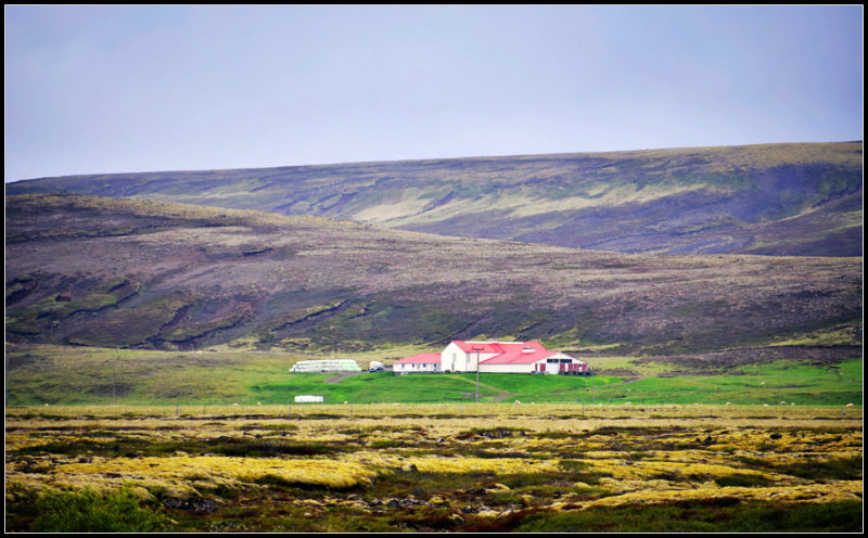 DSC_0032_1.jpg