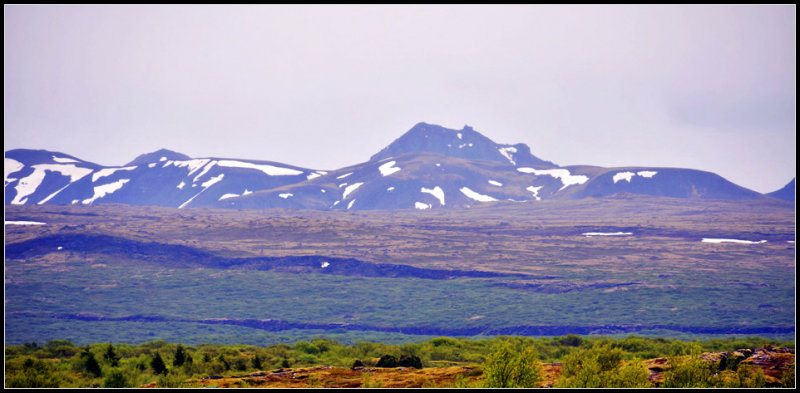 DSC_0113_1.jpg
