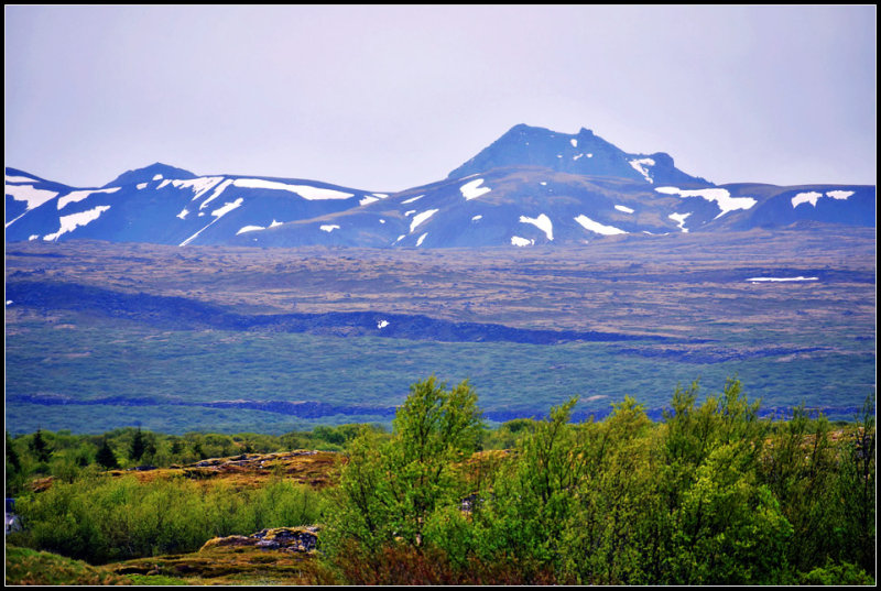 DSC_0115_1.jpg