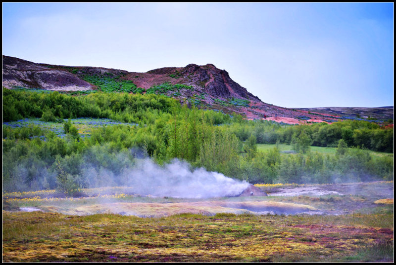 DSC_0172_1.jpg
