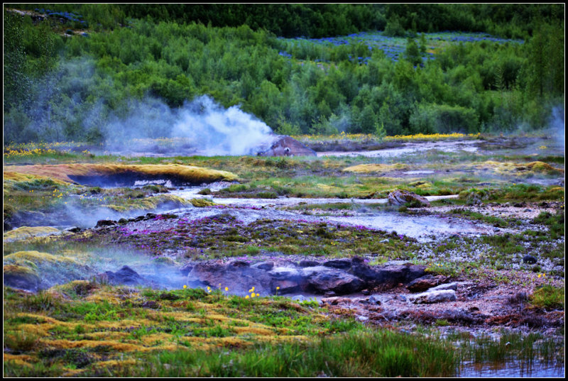 DSC_0174_1.jpg
