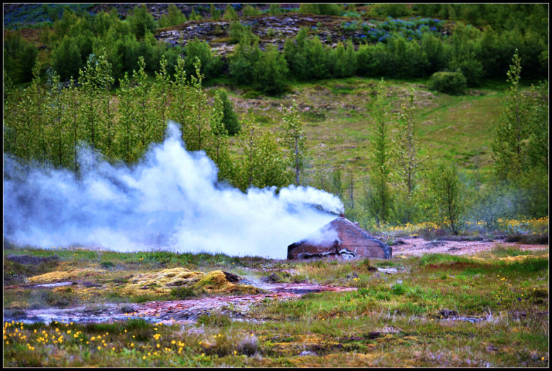 DSC_0176_1.jpg