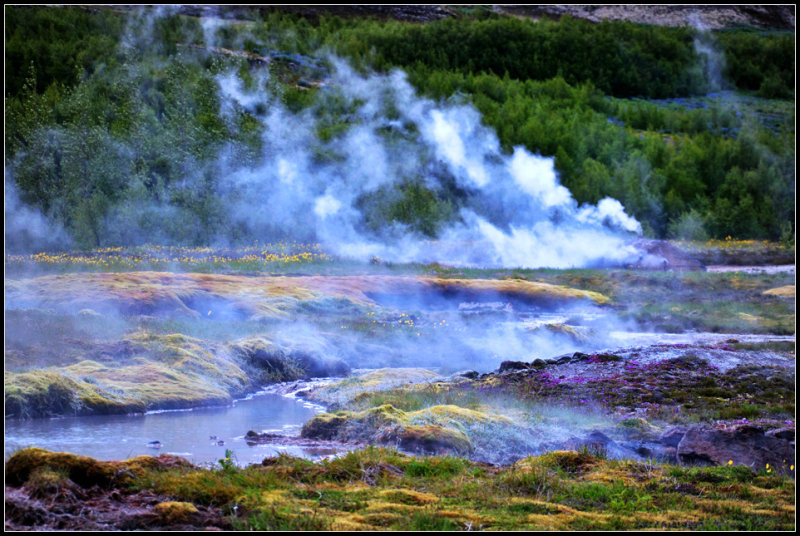 DSC_0205_1.jpg